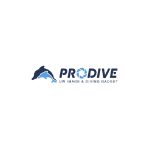 Prodive